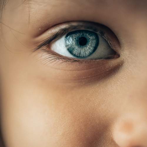 Photo #5950374