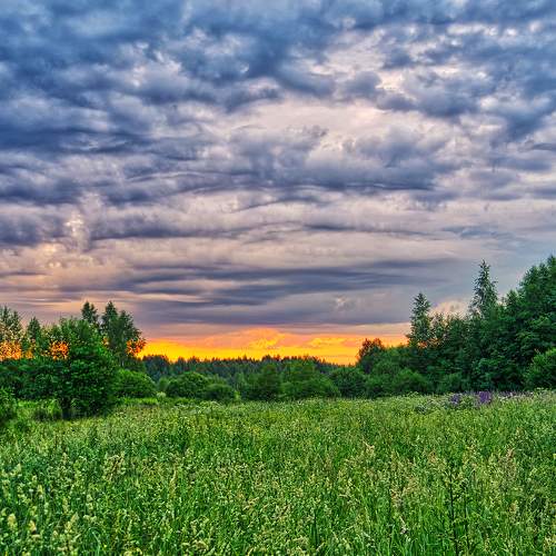 Photo #5950425