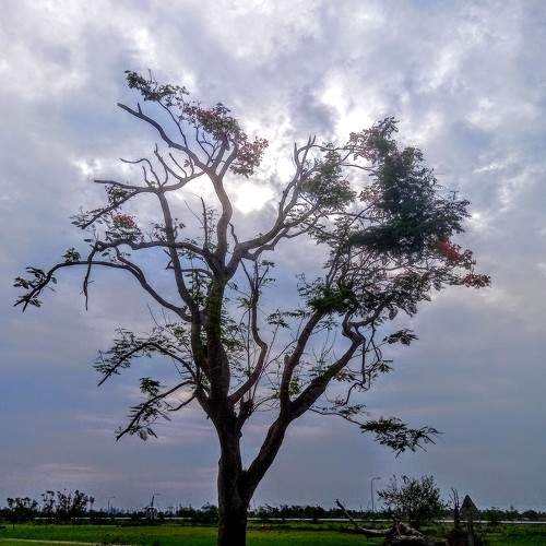 Photo #5950956