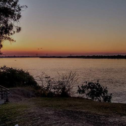 Photo #5951051