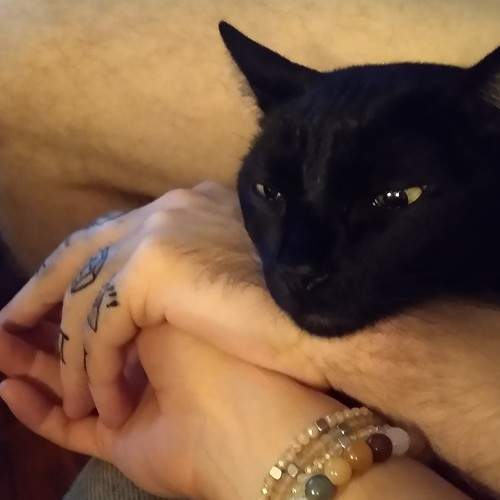Photo #5951053