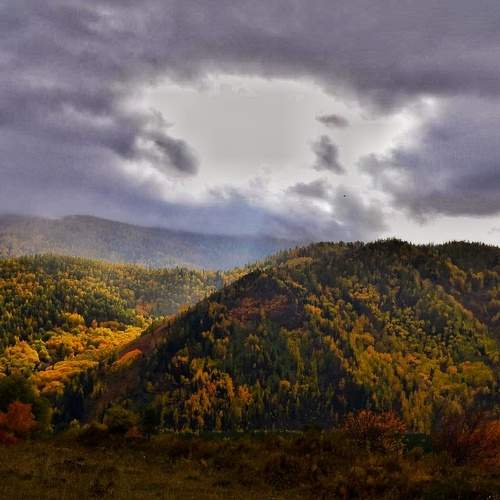 Photo #5951227