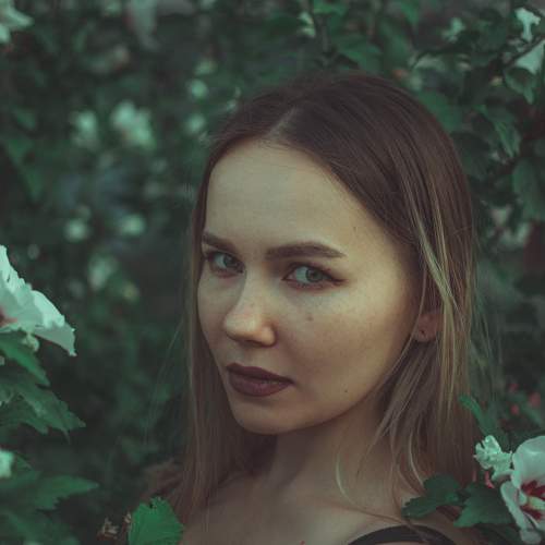 Photo #5951246