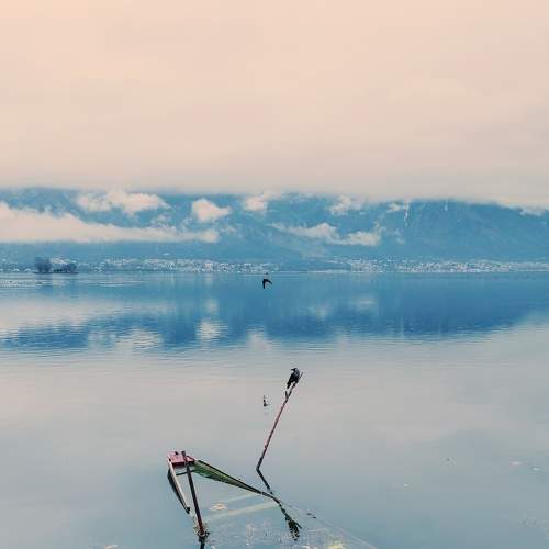 Photo #5951263