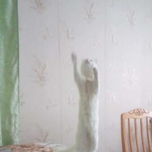 Photo #5951419