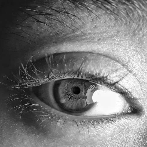 Potrait of eye