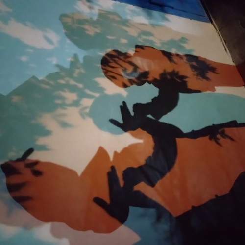 Photo #5951857