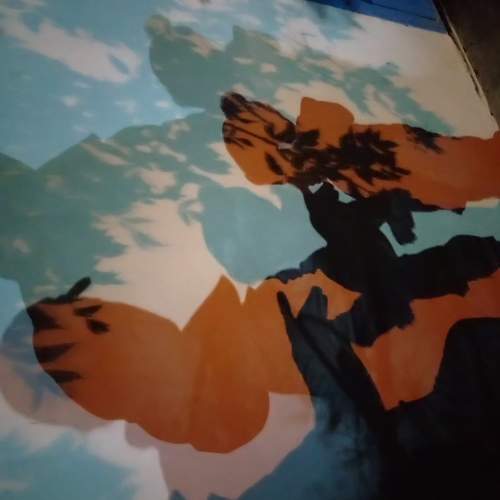Photo #5951872