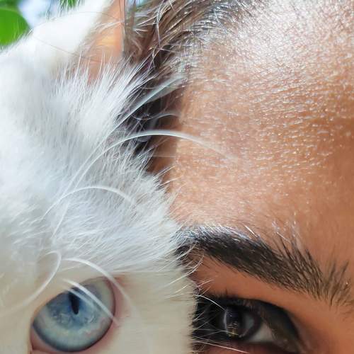 Photo #5951980