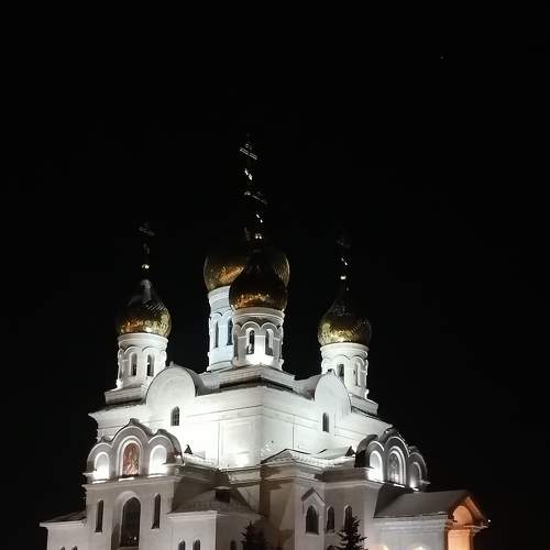 Photo #5951984