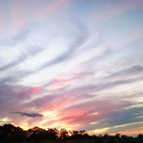 Photo #5952065