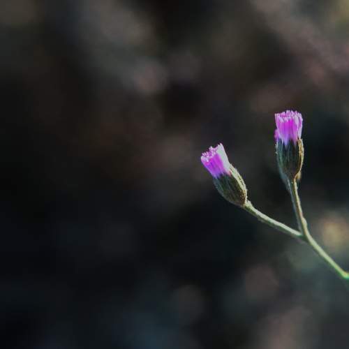 Photo #5952245