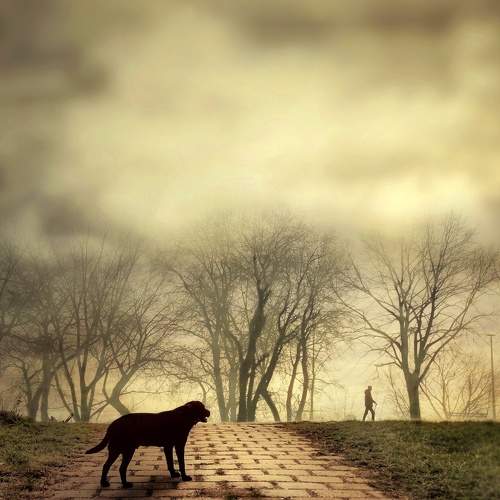 Photo #5952262