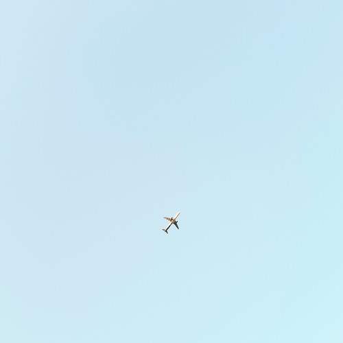 Photo #5952326