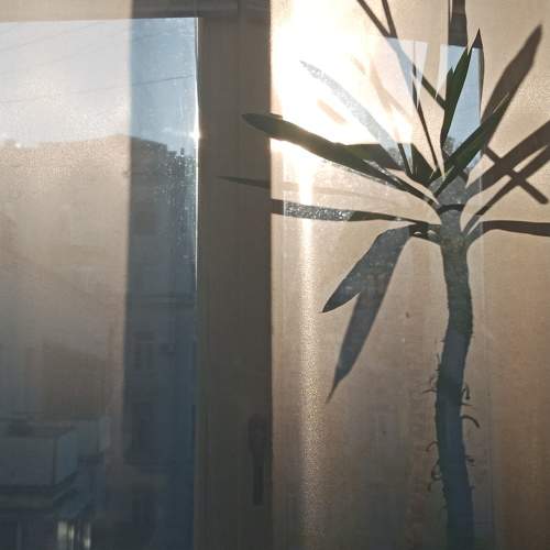 Photo #5952628