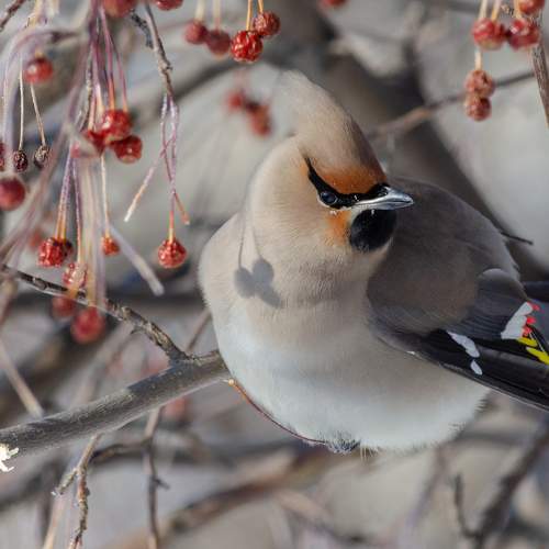 Photo #5952697