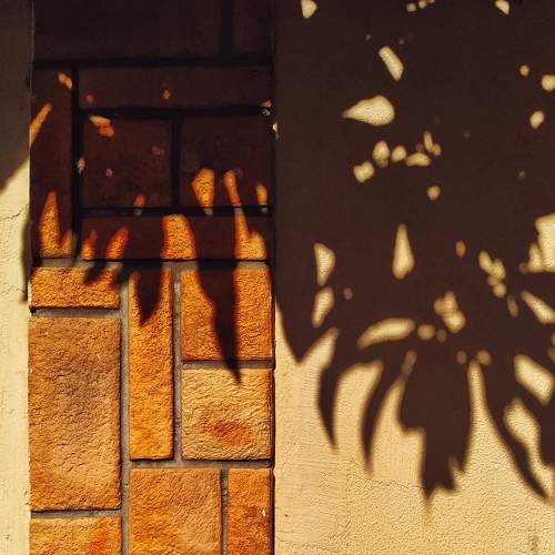 Photo #5952852