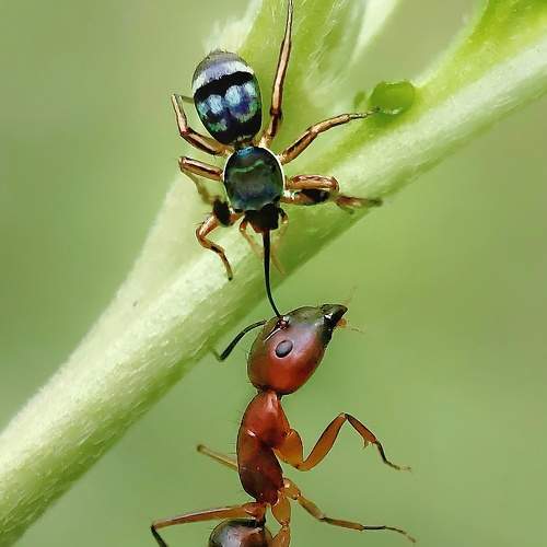 Photo #5953004