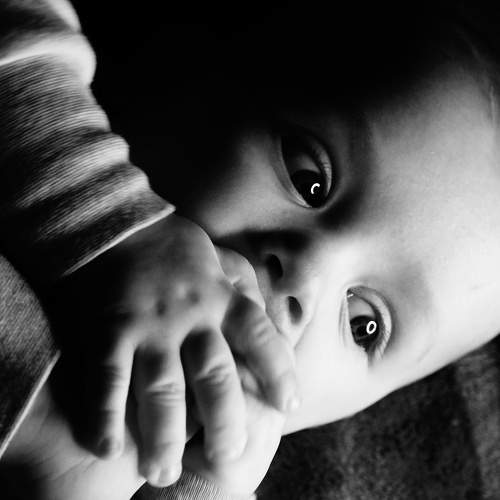 Photo #5953127