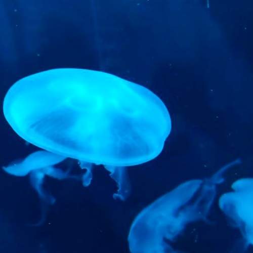 Photo #5953335