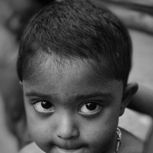 Photo #5953456