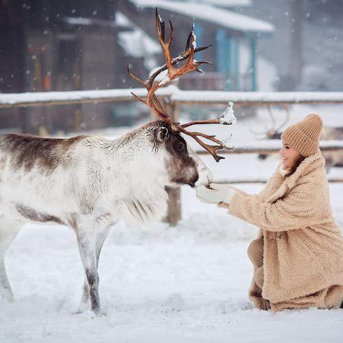 Photo #5953903
