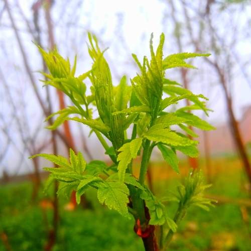 Photo #5954022