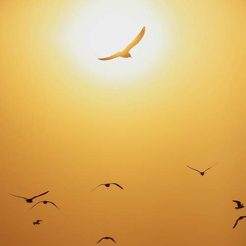 Photo #5954035