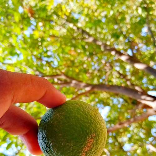 Photo #5954040