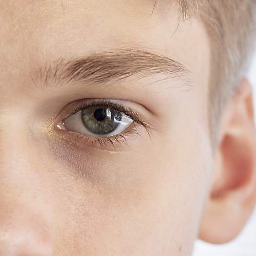 Photo #5954412