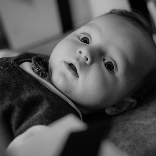 Photo #5954520