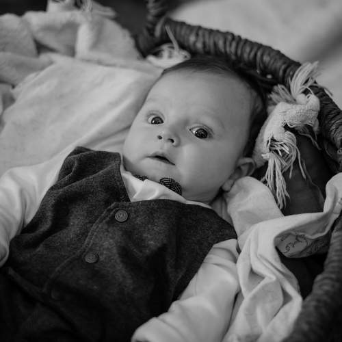 Photo #5954533