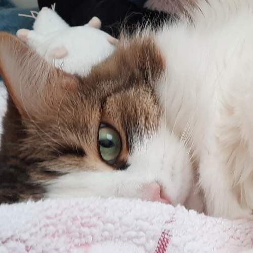 Photo #5954547