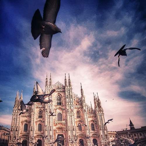 Photo #5954787
