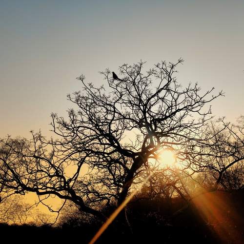 Photo #5954954