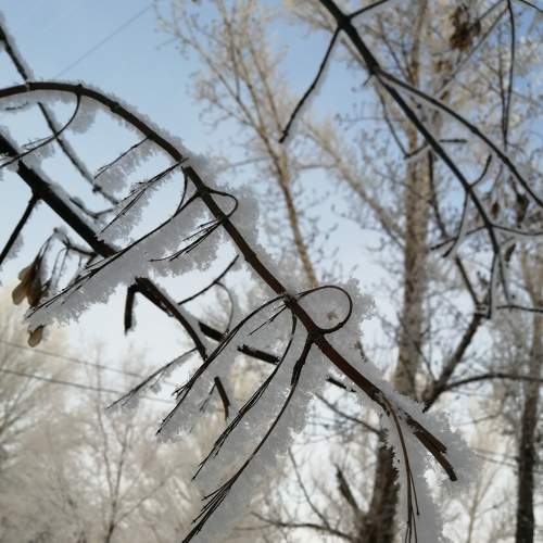 Photo #5955030