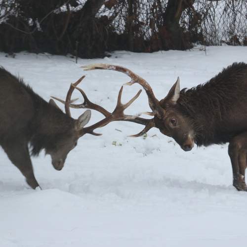 Photo #5955312
