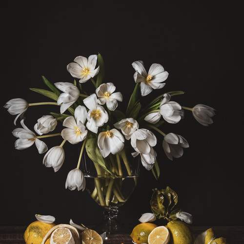 Photo #5955331