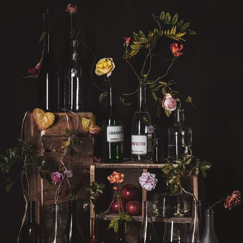 Photo #5955346