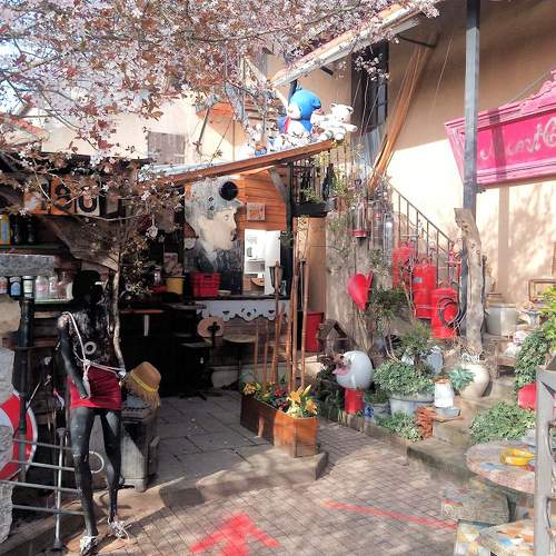 Photo #5955651