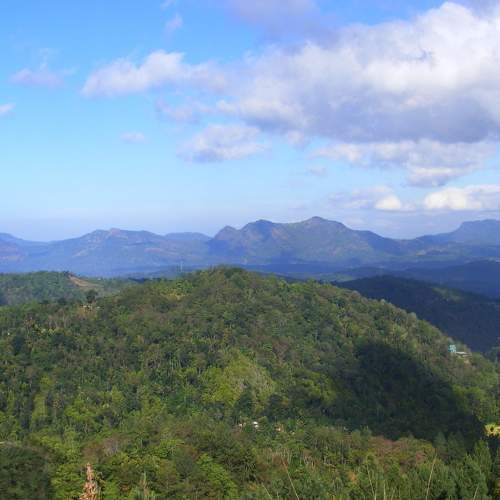 Photo #5955699