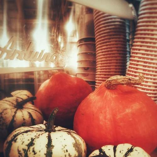 Photo #5956222