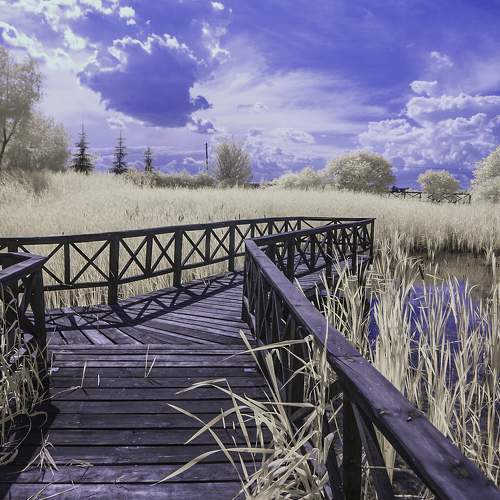 walking on the infrared