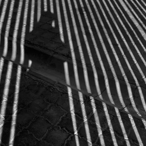 Photo #5956659