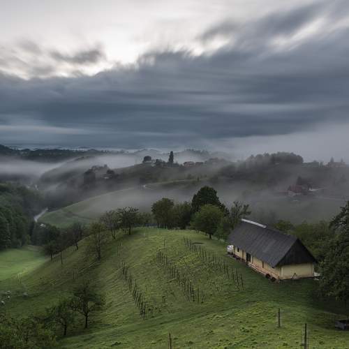 Photo #5956975