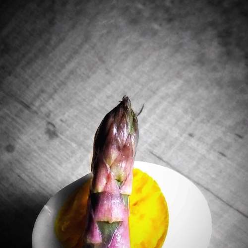 Photo #5957182