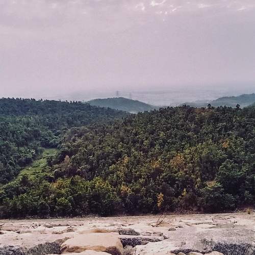 Photo #5957246