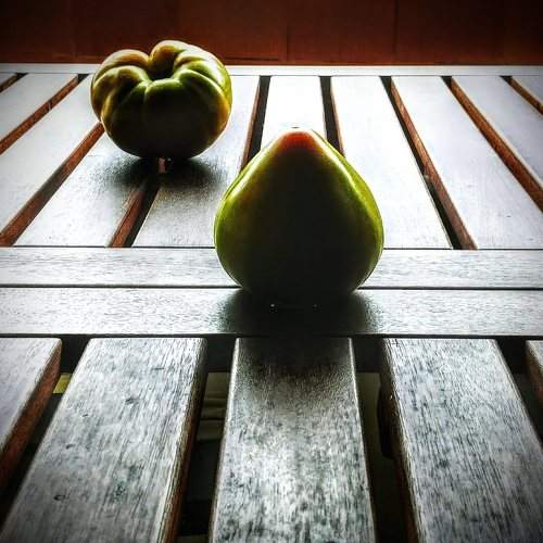 Elegant tomatoes