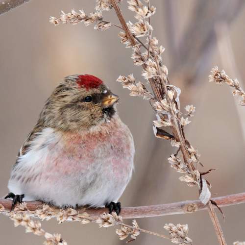 Photo #5957369