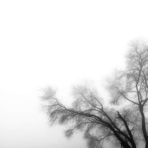 Photo #5957666